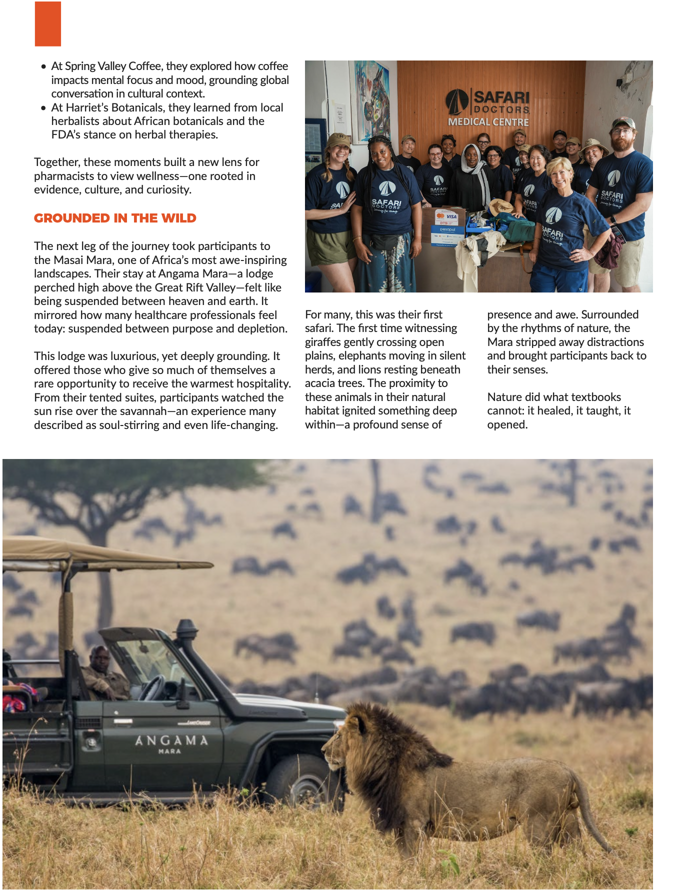 Screenshot 2026-03-12 at 02.00.32